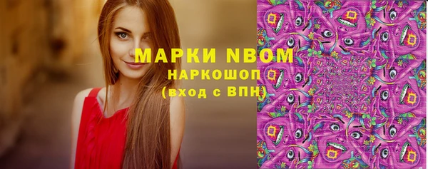 гашик Алзамай